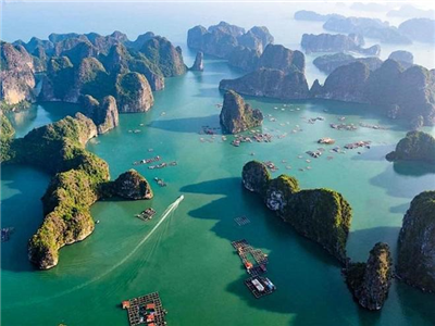 Vịnh Hạ Long