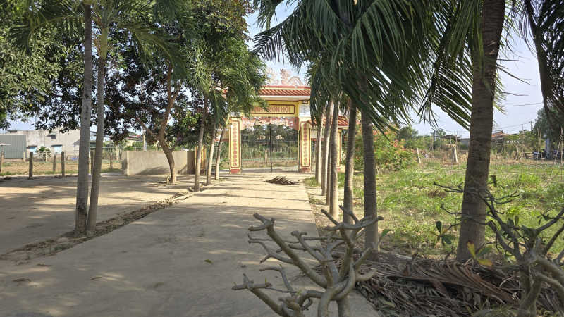 Hình ảnh Đình Nhơn Hội