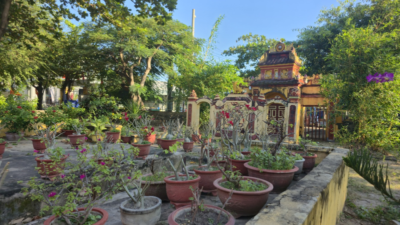 Hình ảnh Đình An Xuân